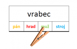 Vzory podstatných jmen -  rod mužský - kolíčkové karty