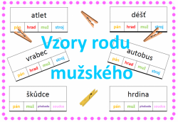 Vzory podstatných jmen -  rod mužský - kolíčkové karty