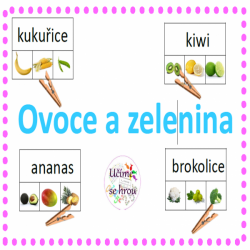 Ovoce a zelenina - kolíčkové karty