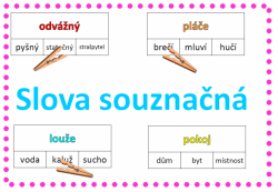 Synonyma - slova souznačná - kolíčkové karty