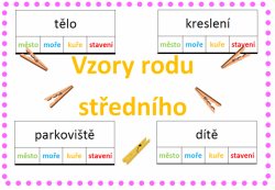 Vzory podstatných jmen -  rod střední - kolíčkové karty